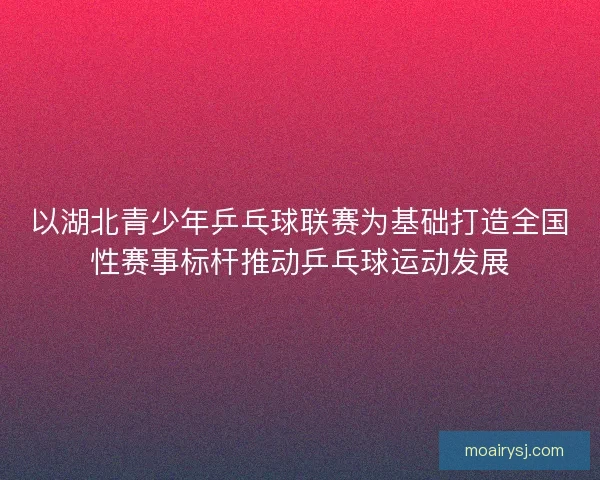 以湖北青少年乒乓球联赛为基础打造全国性赛事标杆推动乒乓球运动发展