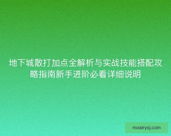 地下城散打加点全解析与实战技能搭配攻略指南新手进阶必看详细说明