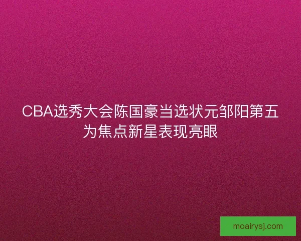 CBA选秀大会陈国豪当选状元邹阳第五为焦点新星表现亮眼
