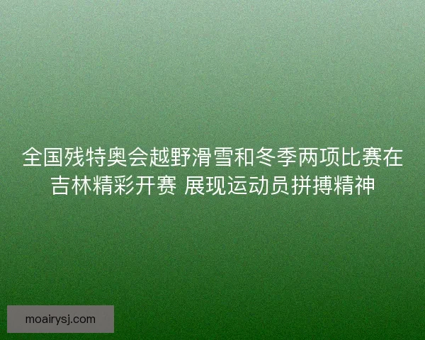 全国残特奥会越野滑雪和冬季两项比赛在吉林精彩开赛 展现运动员拼搏精神 全国残特奥会越野滑雪和冬季两项比赛在吉林精彩开赛 展现运动员拼搏精神